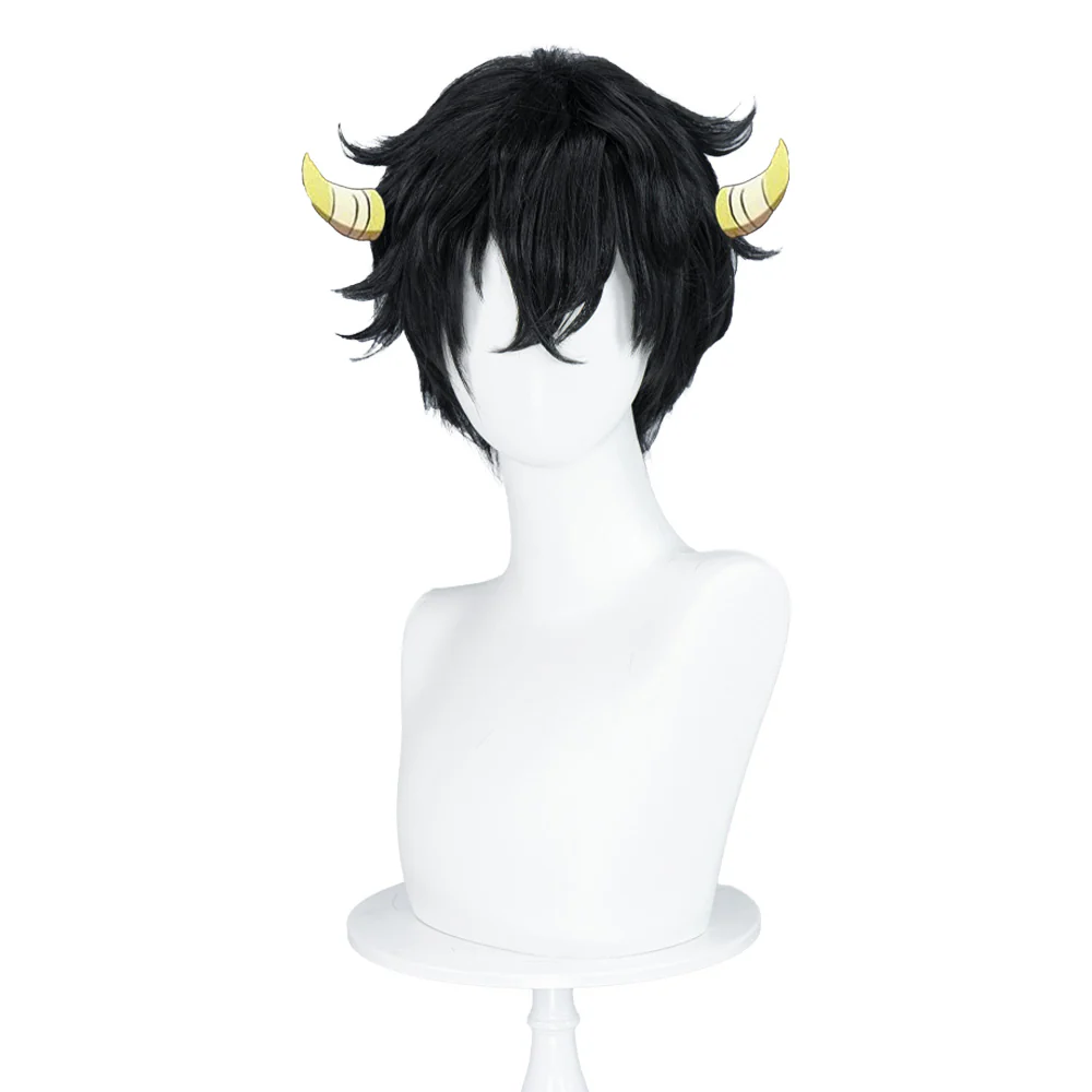 【Ready For Ship】DokiDoki Anime Katekyō Hitman Reborn! Cosplay Wig Ranbo Short Black Hair - Image 2