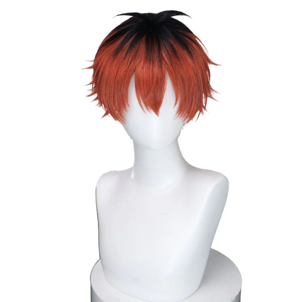 【Ready For Ship】DokiDoki Anime Manga Cosplay Wig Short Red Black Hair - Image 5