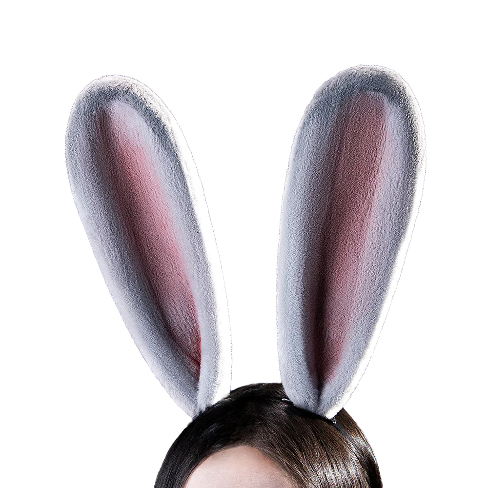 【Ready For Ship】DokiDoki Anime  Cosplay Wig Grey Long Straight Twin Tail / Ear / Tail Rabbit Cute - Image 10